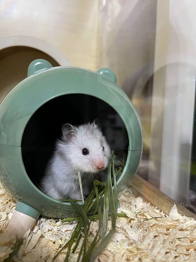 TUTU&LELE Hamster Hideout, Tiny House Hideout and Habitat, Space Elf Hiding Nest, Durable Hamster Bed with Round Thick Plush Pads, for Mice, Gerbils,Hamsters to Play, Sleep and Rest (Green)