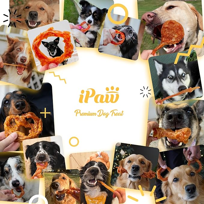 iPaw Turkey Tendon for Dogs, Ingredient Sourced from USA, Hypoallergenic, All Natural Human Grade Puppy Chew, Dog Treats for Signature Series, Rawhide Alternative, 2 Units/Pack Rope (Medium)