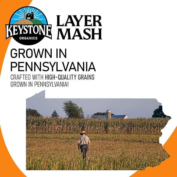 Layer Mash Chicken Feed – 44lb Bag – USDA Organic, Non-GMO, High Calcium for Strong Eggshells – for Chickens, Ducks, Geese, Pheasants & Guineas – No Artificial Hormones