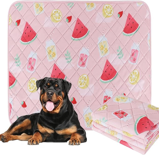 BVAGSS Washable Pee Pads for Dogs, 2 Pack Reusable Leakproof Puppy Wee Wee Pad, Non-Slip Waterproof Pet Training Pads, Super Absorbent Whelping Pads XH081 (Watermelon, 36X36 Inch (Pack of 2))