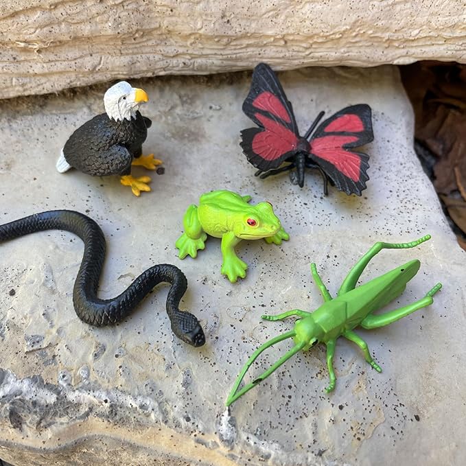 Safari Ltd In The Woods TOOB - Figurines: Elk, Otter, Monarch Butterfly, Black Bear, Snake, Eagle, Beaver, Doe, Grasshopper, Frog, Raccoon, Bison - Educational Toys for Boys, Girls & Kids Ages 3+