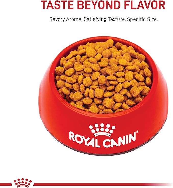 Royal Canin Feline Care Nutrition Urinary Care Adult Dry Cat Food, 14 lb Bag