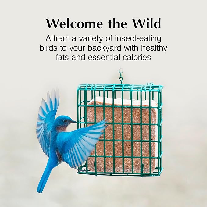 C&S Insect Suet Treat, Suet Cakes for Wild Birds, 11.75 Ounces, Pack of 8