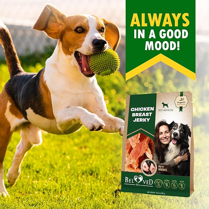Beloved Pets Chicken Jerky Dog Treats 10.6 OZ - All Natural and Healthy Snacks for Large & Small Dogs - Grain Free and High Protein Meat - Human Grade Pet Chews