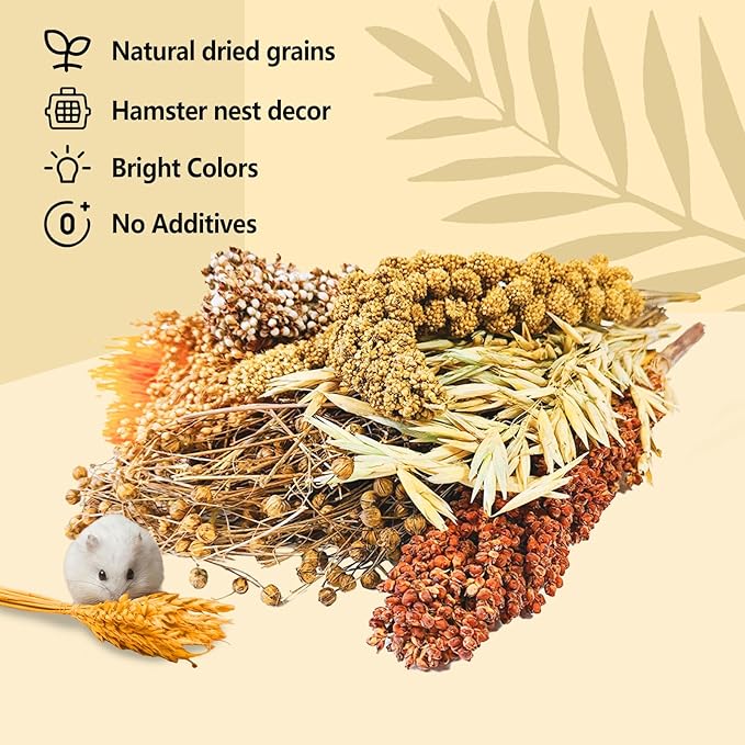 Natural Hamster Flower & Herb Habitat Deocr, Hamster Sprays Herbs Bedding Mate, Hamsters Cage Enrichment Decoration Accessories for Gerbil Dwarf Syrian Hamsters Guinea Pig Mice or Small Animals