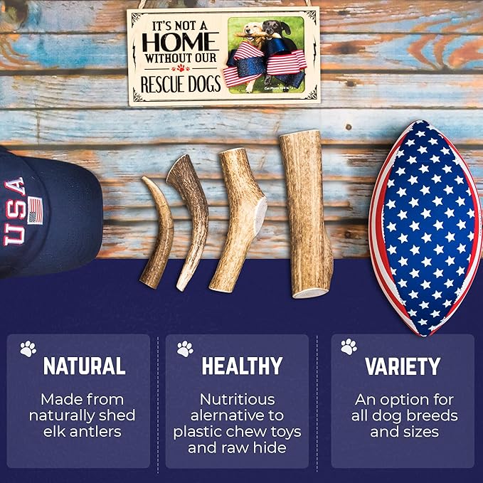 Devil Dog Pet Co. Elk Antlers for Dogs, Small 4"+, 2 Pack, Grade A Long Lasting Chew for Aggressive Chewers, Premium USA Naturally Shed Antler – Healthy, No Odor, Durable Dog Chew