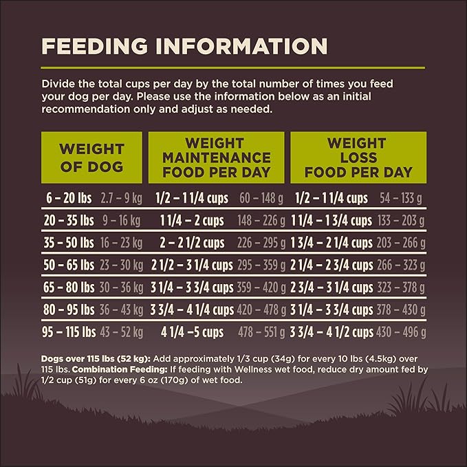 Wellness CORE Dry Dog Food, Grain-Free, High Protein, Natural, Healthy Weight Turkey & Chicken Recipe, (12-Pound Bag)