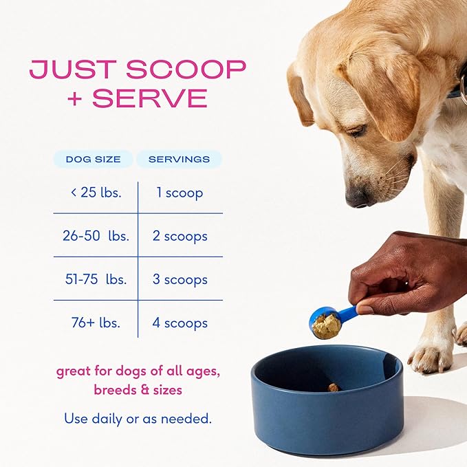 Native Pet Advanced Care - Hip & Joint Supplement for Dogs - Supports Joints, Cartilage, Muscles & Anti-Inflammatory with HMB, UC-II Collagen, Green Lipped Mussel & Hyaluronic Acid - 60 Scoops
