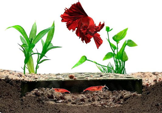 Shrimp Breeding Protector | Shrimp Breeding Cave Aquarium Tunnel | CTWPets (Forest Green)