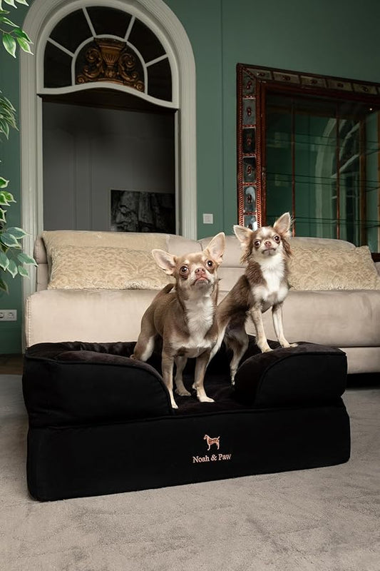 NOAH & PAW Dog Bed, 28x23x11 Inch, Orthopedic Dog Beds for Medium Size Pets, Eggshell Memory Foam Infused with Cooling Gel, Inner Cover, Waterproof, Machine Washable (Denim Sofa Collection)