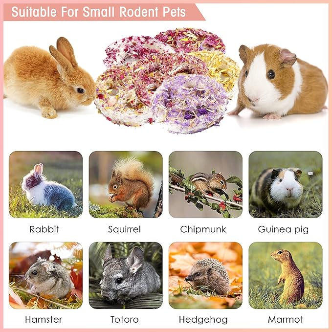 Natural Organic Loofah Chew Toys for Rabbits & Small Pets (6 Pcs) – Handmade Dental Care, Stress Relief, Safe Floral Scent