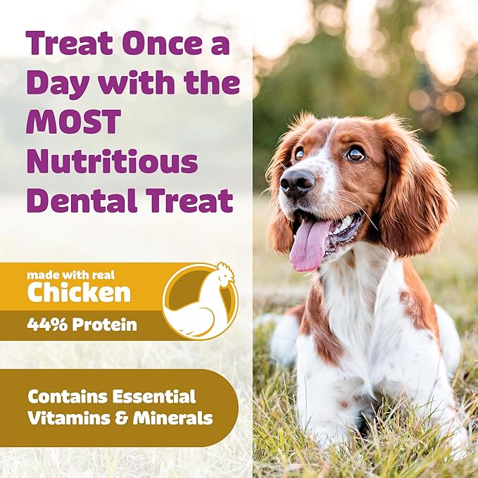 Dog Dental Treats – Vet VOHC Approved – Delicious Chicken Protein – Removes Tartar with Cleaning Comb Shape – Dental Dog Treats for Extra Large Dogs (24oz, 12 Count)