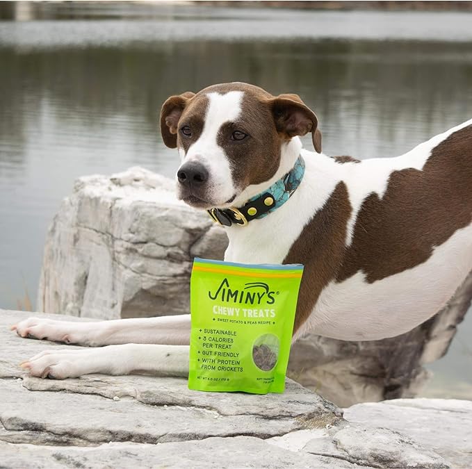 Jiminy's Chewy Cricket Dog Training Treats, Chewy, Low Calorie, Hypoallergenic, Made in USA, 6oz, Sweet Potato & Pea (Pack of 3)