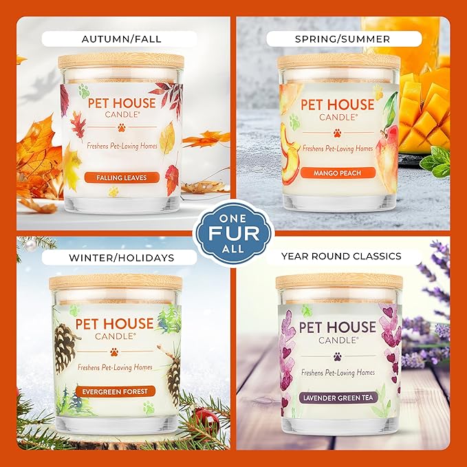 Pet House Candle Plant-Based, Clean Burning Long Lasting Scented Pet Odor Candle for Home - Evergreen Forest
