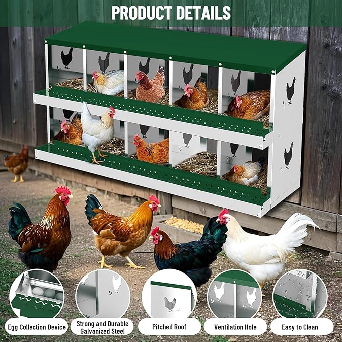 10 Compartments Chicken Nesting Box,Metal Chicken Egg Laying Box, Nesting Boxes,Easy Egg Collection, Easy Cleaning（Green）