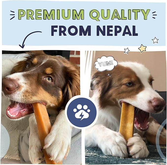 Pawstruck Large Yak Dog Chew (6-7 oz) - Natural Himalayan Yak & Cow Milk/Cheese Long-Lasting, Jumbo Treat for Dog, Best XL Thick Chew Stick - 5 Pack