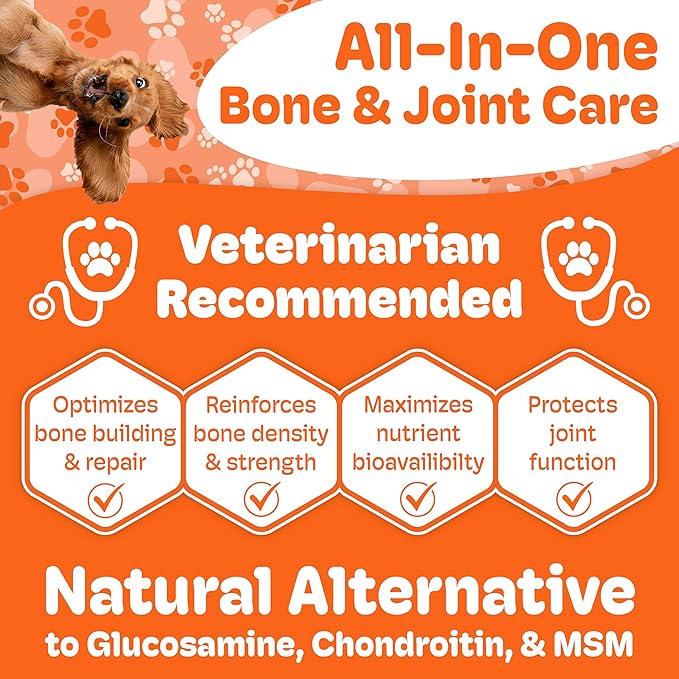 Canine Maintenance Formula- Lactoferrin-Based Bone and Joint Supplement for Dogs- 90 Ct Chewable Tablets, Liver and Sausage Flavor