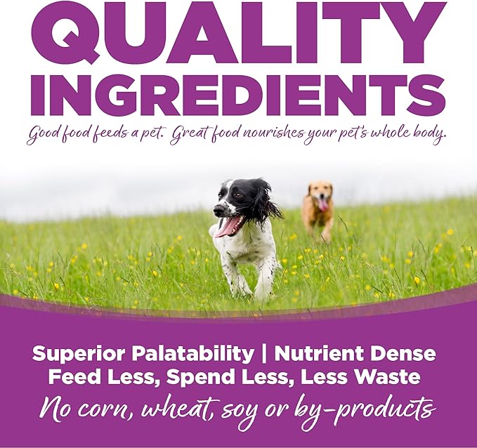 NutriSource Puppy Food for Large Breeds, Chicken and Rice, 12LB