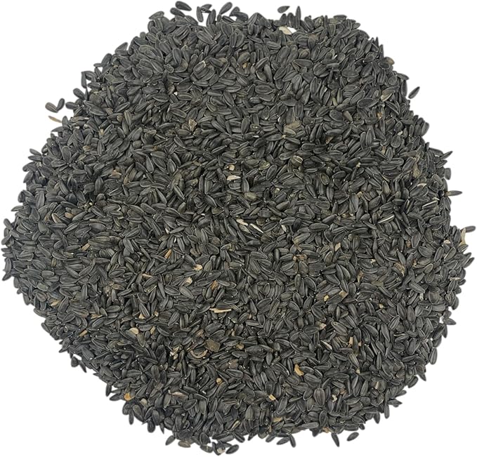 12 Pound Black Oil Sunflower Seeds for Birds – Premium Wildlife Food – Non - GMO -Grown in The USA - Black Oil Sunflower Seeds for Wild Animals and Backyard Feeders