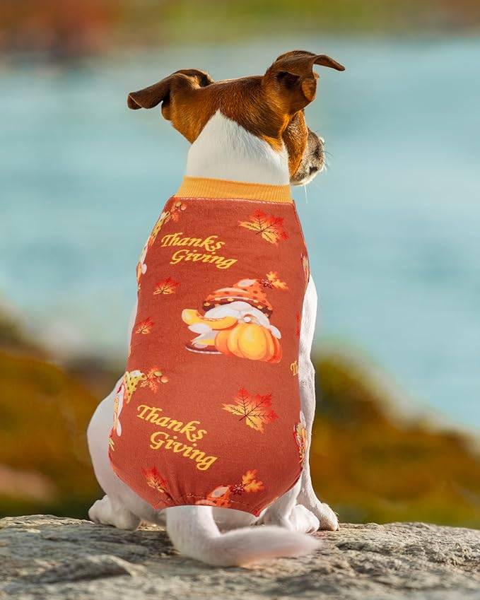 PET SHOW 4 Pack Fall Small Dog Pajamas Thanksgiving Clothes Doggies Girl Boy Soft Stretchy PJs Autumn Jumpsuit Puppy Cats Onesies Outfits with Sleeve Pets Dachshund Costume M
