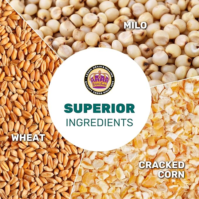 LEACH GRAIN & MILLING CO. Chicken Scratch 25 Lbs, Chicken Feed - High Protein and Fiber - Healthy Whole Grains - Supports Energy & Digestive Health, Natural Food and Supplies for Poultry