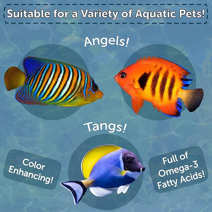 Aquatic Foods Inc. Premium Marine Fish Flakes with Seaweed, Algaes, Spirulina Marine Angels, Butterflies, Tangs Premium Marine AF Flakes - 2-lbs