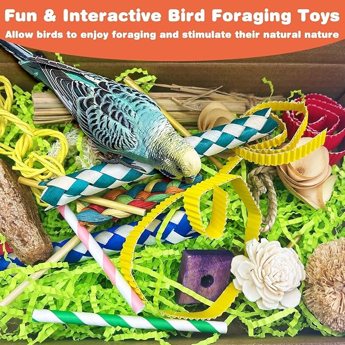 PINVNBY Bird Toys Natural Bird Foraging Interactive Parrot Shredding Box and Chewing Toy for Conure Parakeet Budgie Cockatiel Lovebird Small-Medium Birds (Medium)