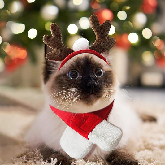 PETLESO Cat Reindeer Antlers with Christmas Scarf, Small Dog Santa Costume, Pet Xmas Outfits for Kitten, Puppy