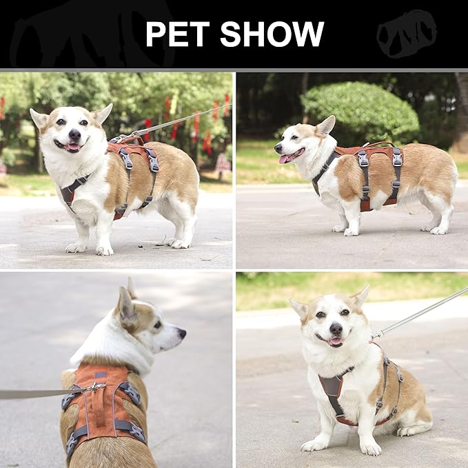 Escape Proof Dog Harness Small Sized Dog, Reflective No Pull Dog Vest with Handle, Lightweight Full Body Pet Harness Adjustable for Walking,Training(Blue,Chest:16-27")