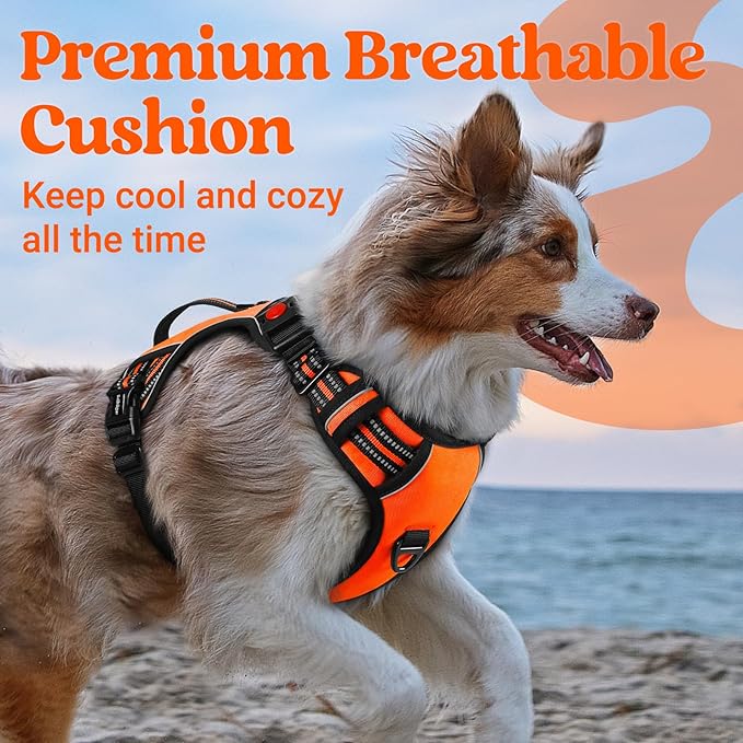 rabbitgoo Dog Harness Medium Sized, No Pull Pet Harness with Soft Padded Handle, Adjustable Reflective Vest with 3 Buckles, Easy Walking Harness with 2 Leash Clips, Orange, XL