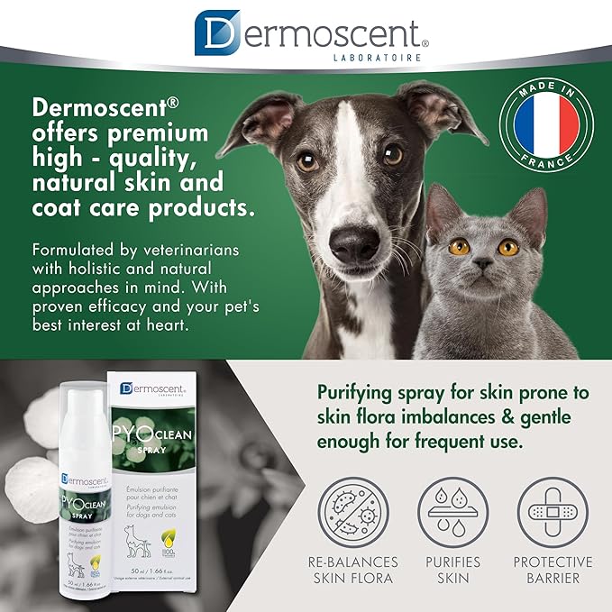 Dermoscent PYOclean® Spray for Dogs & Cats Balances the Skin, Prevents Pimples, Chin Acne, Reddened Skin & Scabs, 50 ml (1.66 fl. oz.)