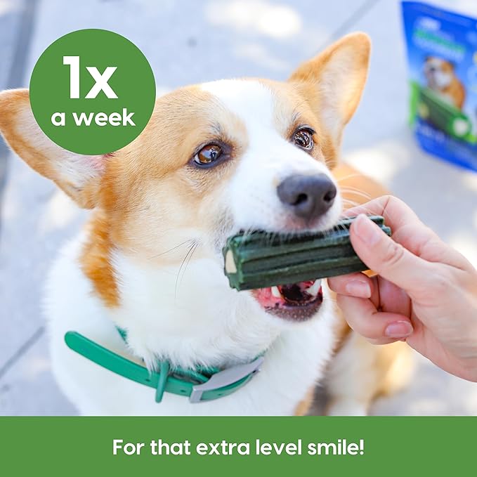 ARK NATURALS Extreme Clean Brushless Toothpaste for Small Breeds, 12 oz Bag, Long-Lasting Dog Dental Chew with Toothpaste Center, Freshens Breath, Reduces Plaque & Tartar (Pack of 6)