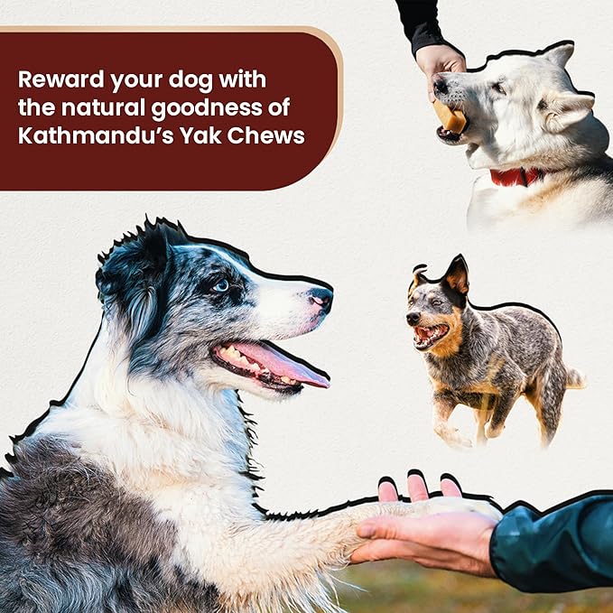 KATHMANDU'S Authentic Yak Cheese Himalayan Dog Chews Large (Pack of 4) - All Natural High Protein Dog Treats Per Chew, Delicious & Long Lasting for Aggressive Chewers | Odor & Gluten Free Chews