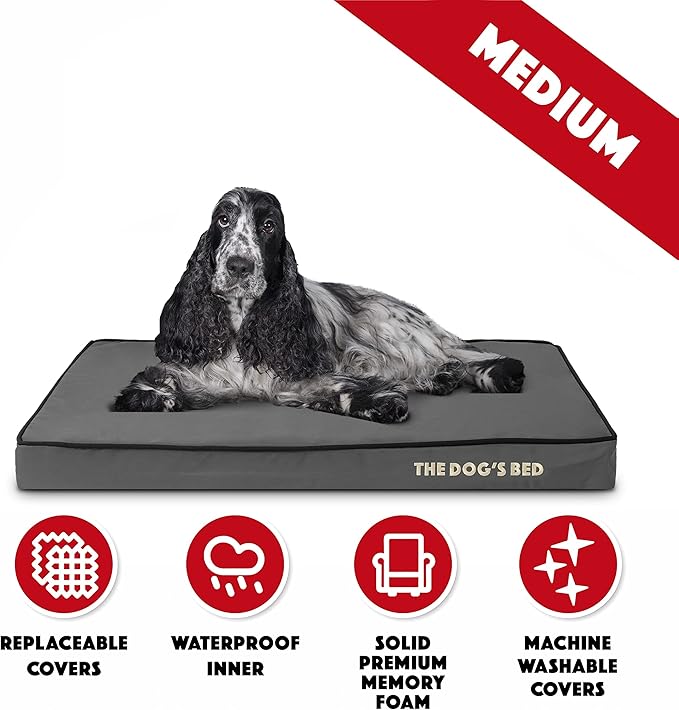 The Dog’s Bed Orthopedic Memory Foam Dog Bed, Medium Grey & Black 34x22, Waterproof, Supportive Dog Bed with Replaceable Covers, Veterinary Approved