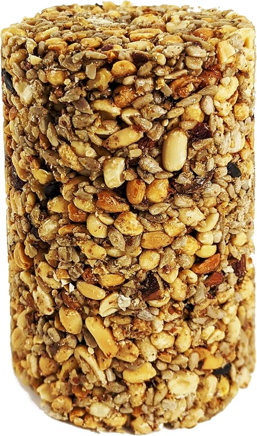 Songbird Treats Seed Tower 2 Packs | Bundle of 2 | 1.5-2 lb Seed Log Towers for Wild Birds (Nutty's Berries 2 Pack)