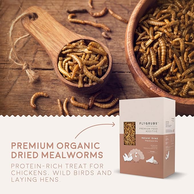 FLYGRUBS Superior to Dried Mealworms for Chickens (20 lb) 85X More Calcium Non-GMO Chicken Feed Additive & Molting Supplement - BSFL Treats for Hens, Ducks, Turkeys, Wild Birds, Turtles, Quails