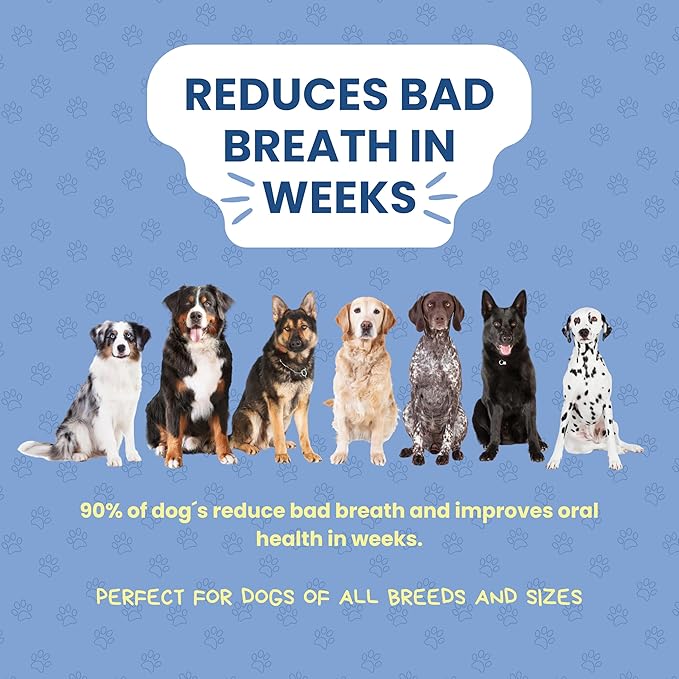 Dog Dental Powder | All-Natural for Teeth Cleaning | Plaque Remover for theeth and Breath freshener | Flavorless, Easy to Use | 3.17 oz - 60 supplys | Smile 2 Life