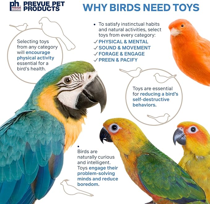 Prevue Pet Products 62636 Calypso Creations Over The Rainbow Bird Toy, Multi, Medium