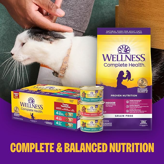 Wellness Complete Health Pate Adult Wet Cat Food, Natural, Protein-Rich, Grain Free, 12.5 Ounce, 12 Pack, (Chicken & Lobster)