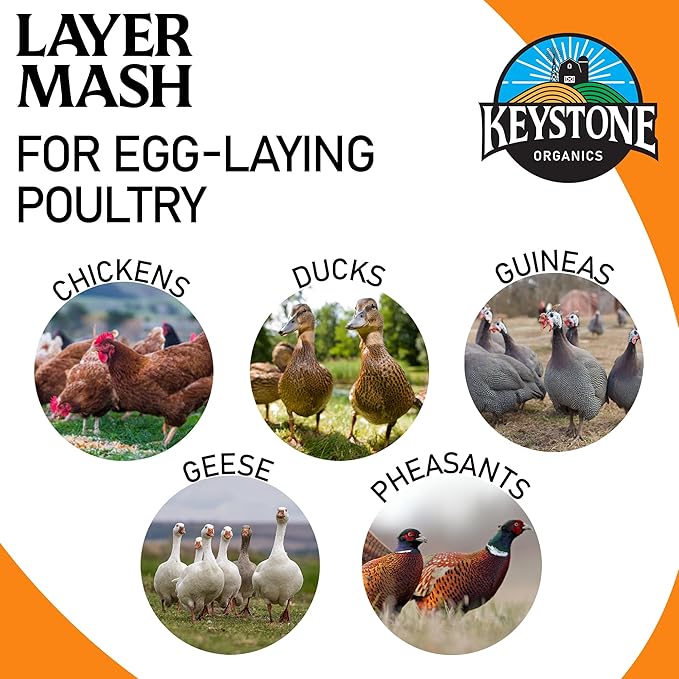 Layer Mash Chicken Feed – 44lb Bag – USDA Organic, Non-GMO, High Calcium for Strong Eggshells – for Chickens, Ducks, Geese, Pheasants & Guineas – No Artificial Hormones