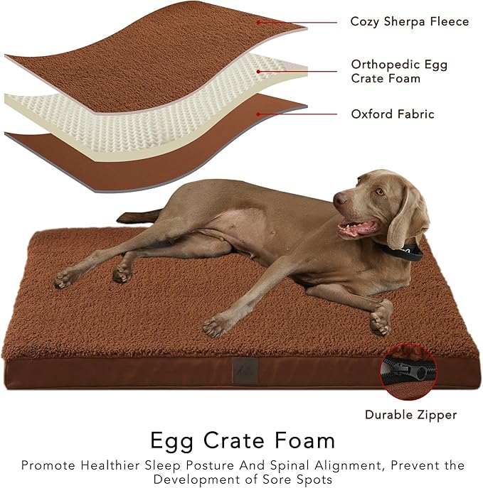 DaysU Dog Bed for Medium Dogs, Orthopedic Dog Beds with Removable Washable Cover, Medium Egg Crate Foam Pet Bed Mat, Flax Brown, Suitable for Dogs Up to 35 Ibs, 35x22x3in