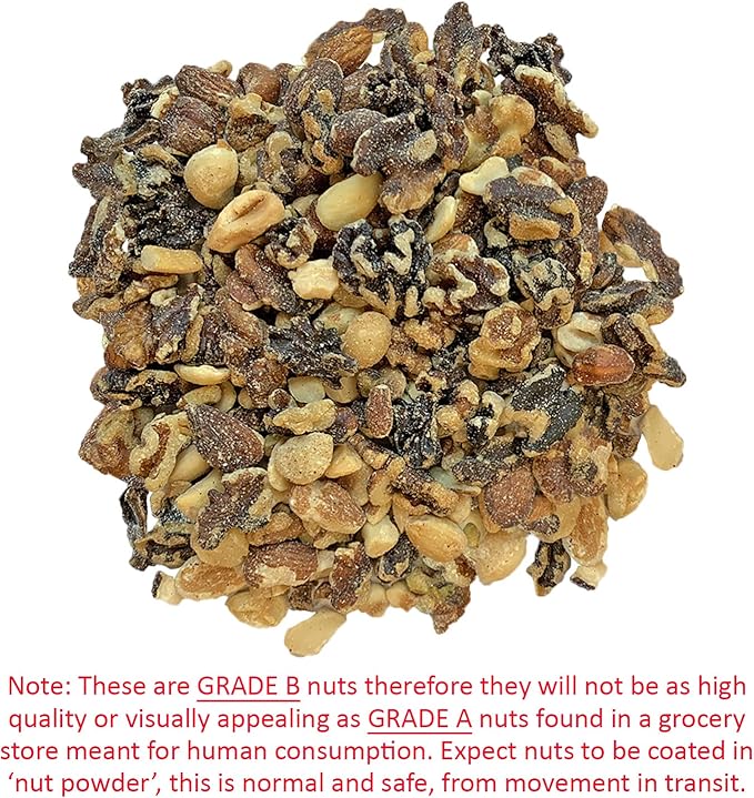 Exotic Nutrition Premium Nut Mix - Unroasted, Unsalted Walnuts, Hazelnuts, Almonds - Food & Treat for Grey Squirrels, Ground Squirrels, Flying Squirrels, Parrots & Other Small Pets (5 lb.)