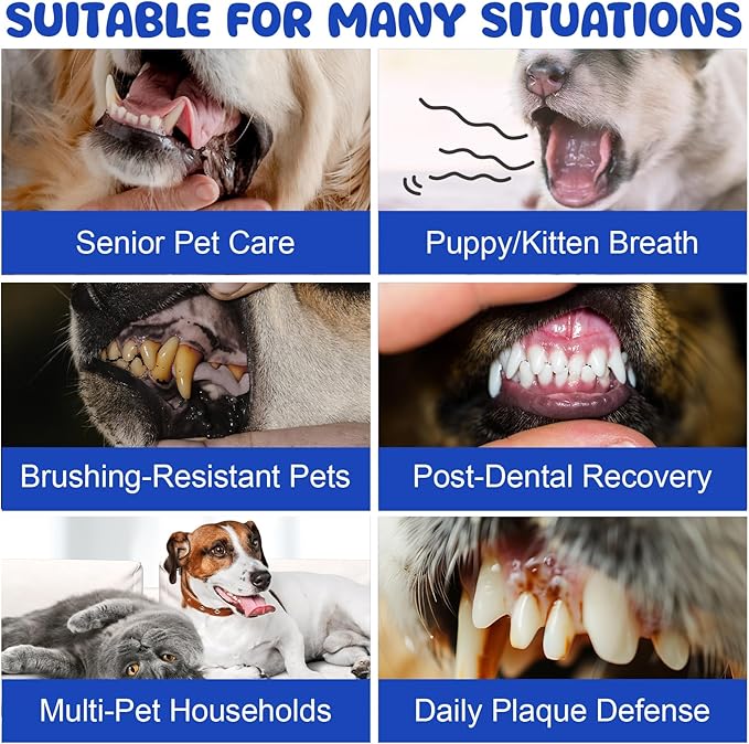 Dog Dental Powder for Fresher Breath - Dog Teeth Cleaning Powder Natural Plaque & Tartar Support with Probiotics & Enzymes lab co, Oral Care Supplement for Pet 160g