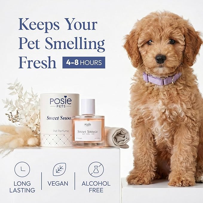 Dog Cologne Spray with Long Lasting Jasmine, Musk, and Vanilla Scent - Vegan Alcohol-Free Pet Deodorizer for Smelly Dogs - Water-Based Luxury Puppy Grooming Fragrance - Sweet Snooze, 100ml