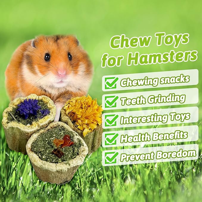 BNOSDM Hamster Chew Treats Chinchilla Natural Fruit & Vegetable Petal Mix Snacks Rabbit Papaya Toys for Teeth for Guinea Pigs Syrian Dwarf Hamsters Gerbils Mice