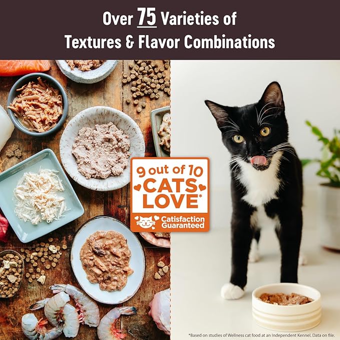 Wellness CORE Tiny Tasters Pate Adult Wet Cat Food, Natural, Protein-Rich, Grain Free, 1.75 Ounce Pouch, 12 Pack (Tuna)