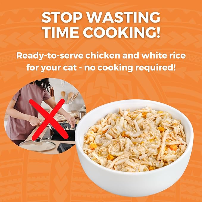 KOHA Pet Limited Ingredient Bland Diet for Cats, Chicken and White Rice Recipe Sensitive Stomach Wet Cat Food, Gentle Formula Easy to Digest Bland Diet Cat Food, 2.8 oz Pack of 12