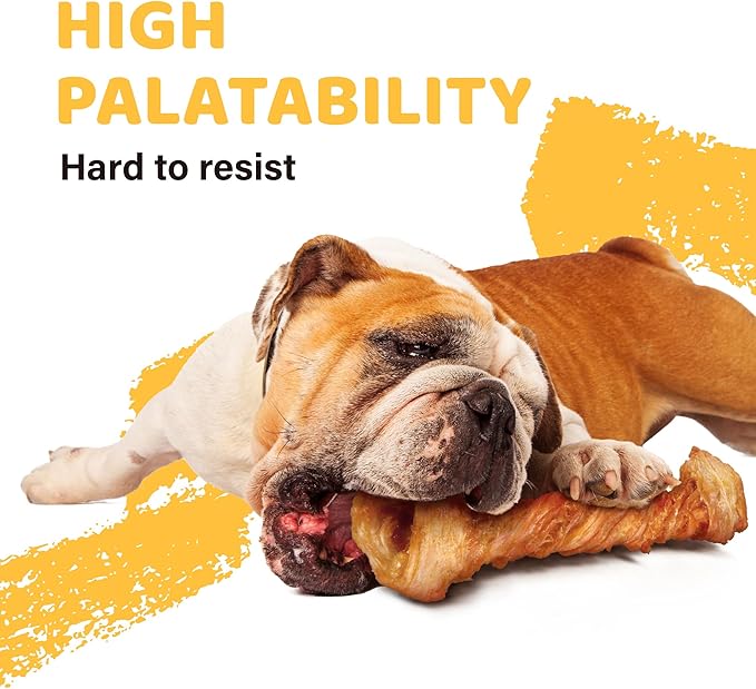 iPaw Turkey Tendon for Dogs 5 Pcs Value Pack, Ingredient Sourced from USA, Hypoallergenic, All Natural Human Grade Puppy Chew, Dog Treats for Signature Series, Rawhide Alternative, Bone (Medium)