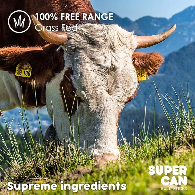 SUPER CAN BULLYSTICKS Bully Sticks for Dogs 6" Standard [25-Count] 100% Natural Dog Chews - Long Lasting Chew Medium Large Dogs - Free Range Grass Fed - Non GMO Beef - Treats for All Breeds