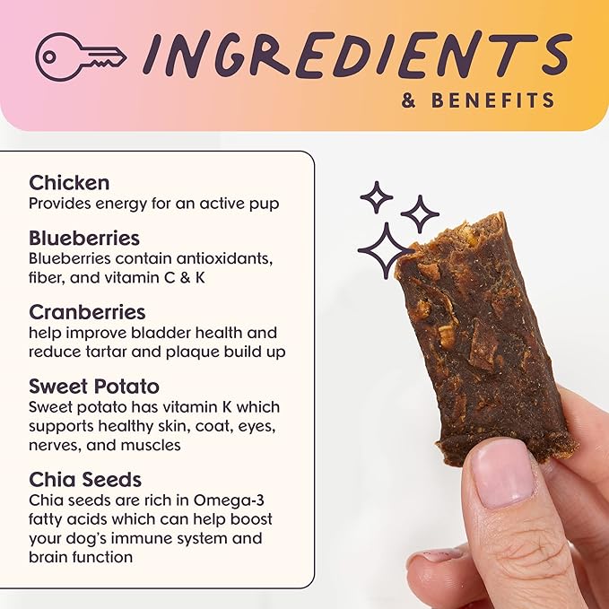 Superfood Dog Treats Salmon, Chicken or Beef Jerky Bars - Dog Treats for Snacks and Training – Made in USA - No Corn, Wheat or Soy – Poultry Free (5 Ounces, Chicken)